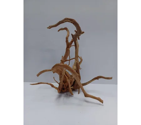 Redmoor root A49 36cm by 32cm L X H