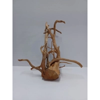 Redmoor root A49 36cm by 32cm L X H