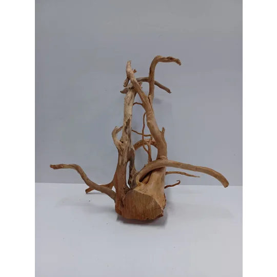 Redmoor root A49 36cm by 32cm L X H
