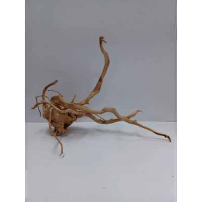 Redmoor root A51 44cm by 30cm L X H