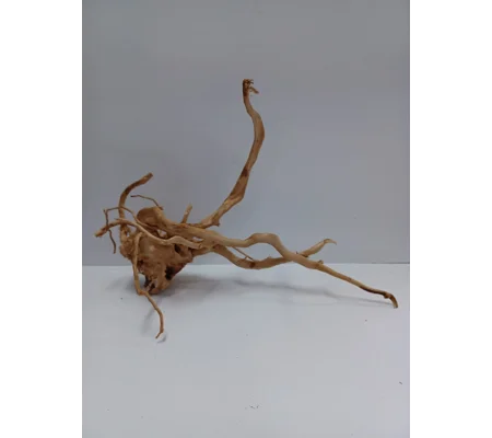 Redmoor root A51 44cm by 30cm L X H