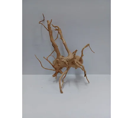 Redmoor root A52 30cm by 44cm L X H