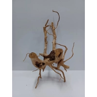 Redmoor root A52 30cm by 44cm L X H