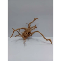 Redmoor root A53 35cm by 42cm L X H