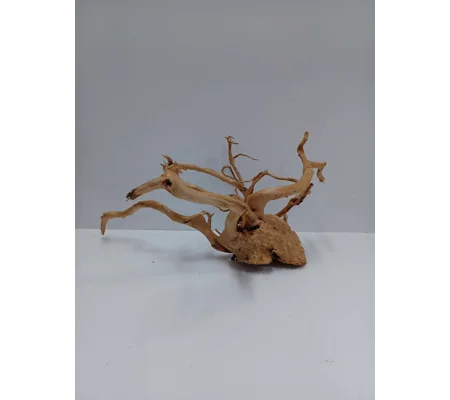 Redmoor root A53 35cm by 42cm L X H
