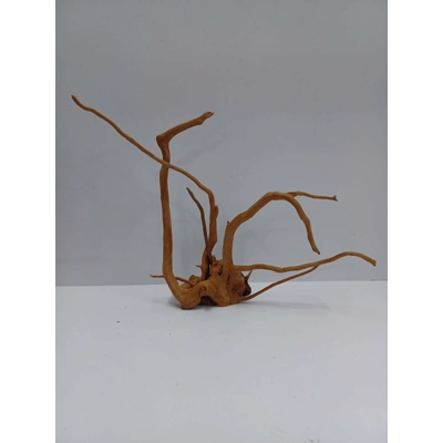 Redmoor root A54 38cm by 30cm L X H
