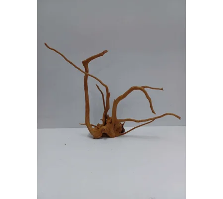 Redmoor root A54 38cm by 30cm L X H