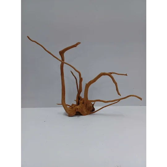 Redmoor root A54 38cm by 30cm L X H