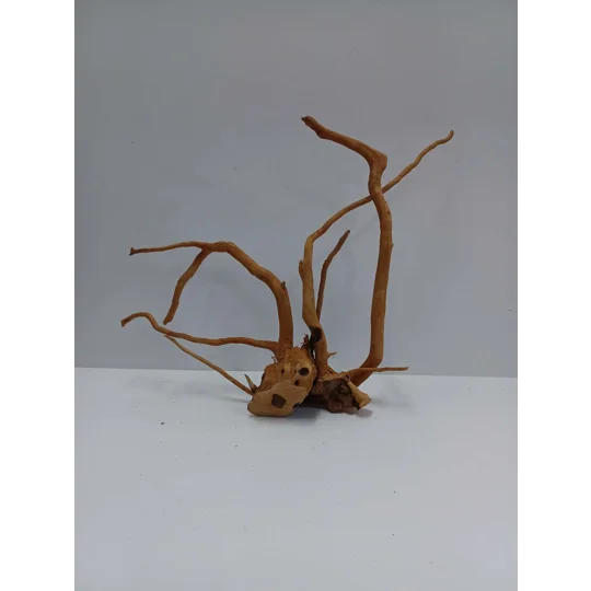 Redmoor root A54 38cm by 30cm L X H