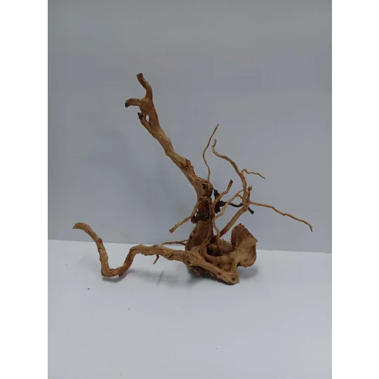 Redmoor root A55 36cm by 33cm L X H