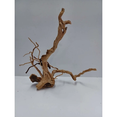 Redmoor root A55 36cm by 33cm L X H