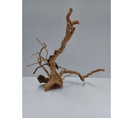 Redmoor root A55 36cm by 33cm L X H