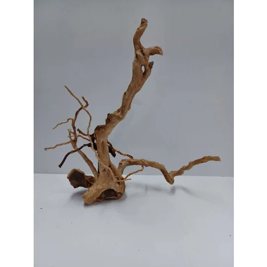 Redmoor root A55 36cm by 33cm L X H