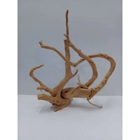 Red Moor Root A56 34 by 37cm L X H