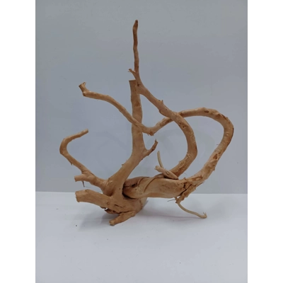 Red Moor Root A56 34 by 37cm L X H