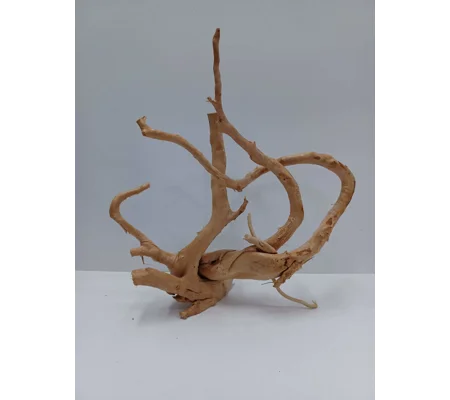 Red Moor Root A56 34 by 37cm L X H