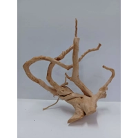 Red Moor Root A56 34 by 37cm L X H