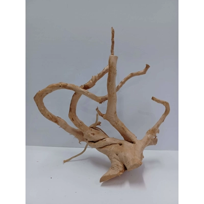 Red Moor Root A56 34 by 37cm L X H