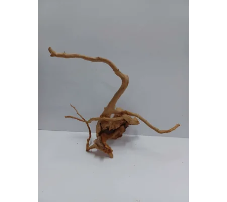 Redmoor root A58 38cm by 36cm L X H