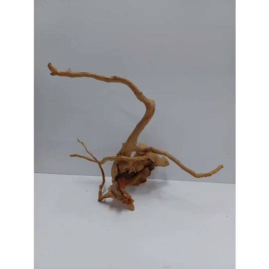Redmoor root A58 38cm by 36cm L X H