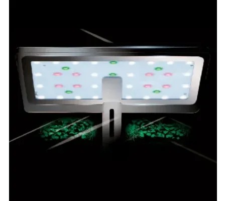 Dymax Eclipse X Flora LED Light Unit