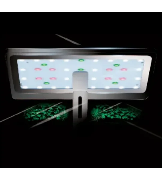Dymax Eclipse X Flora LED Light Unit