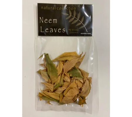 Natural Collection Neem Leaves