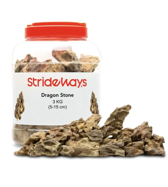 Strideways Dragon Stone Bottle 3kg