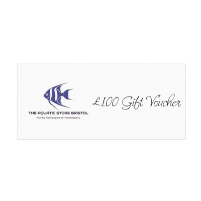 £100 instore gift voucher