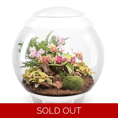 BiOrb Air 60L White LED Terrarium