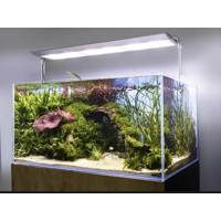 Aquael ULTRA SLIM BT 60w