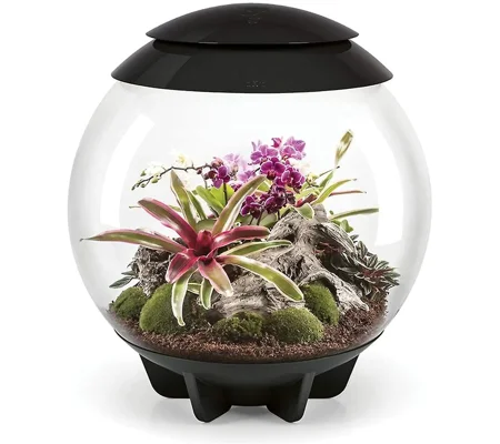 BiOrb Air 30L Black LED Terrarium