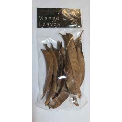 Natural Collection Mango Leaves Small