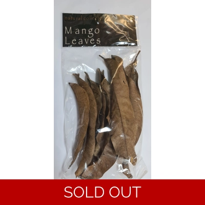 Natural Collection Mango Leaves Small