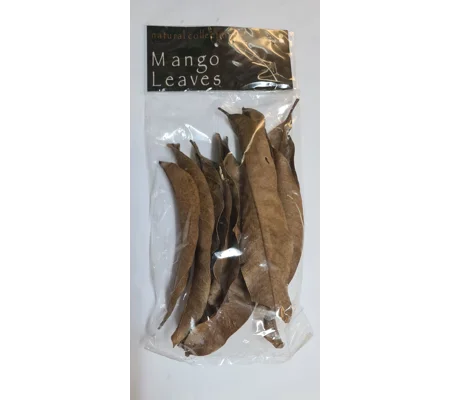 Natural Collection Mango Leaves Small