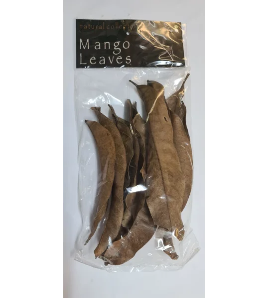 Natural Collection Mango Leaves Small