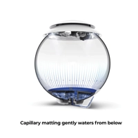 BiOrb Air 30L White LED Terrarium