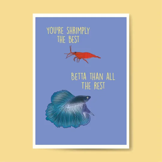 Betta and shrimp greetings card