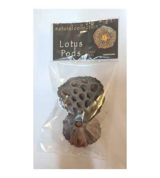 Natural Collection Lotus Pods