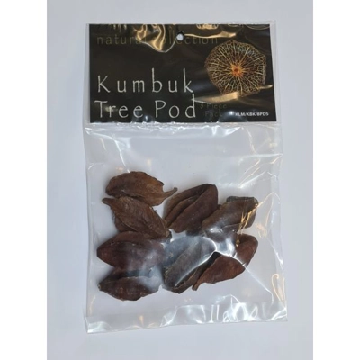 Natural Collection Kumbuk Tree Pods Natural Collection Kumbuk Tree Pods