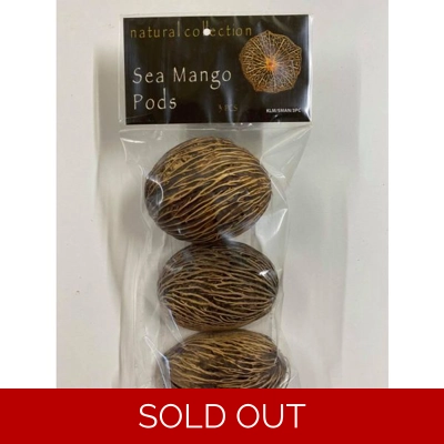 Natural Collection Sea Mango Pods