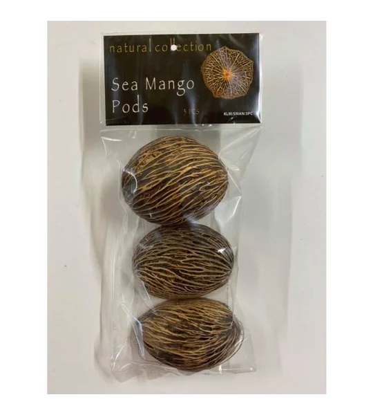 Natural Collection Sea Mango Pods