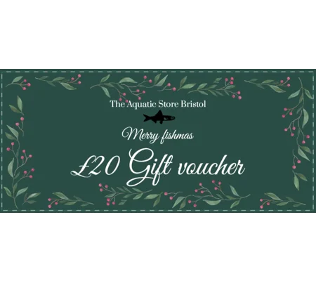 £20 Christmas instore gift voucher