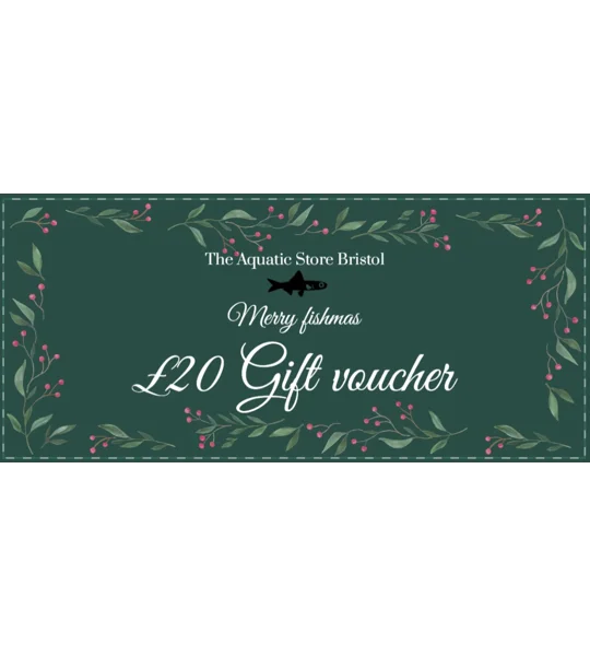 £20 Christmas instore gift voucher