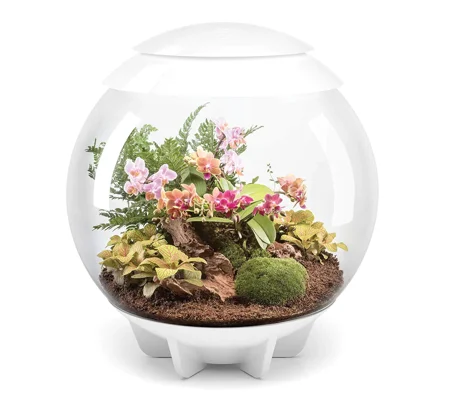 BiOrb Air 30L White LED Terrarium