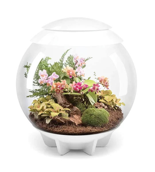 BiOrb Air 30L White LED Terrarium
