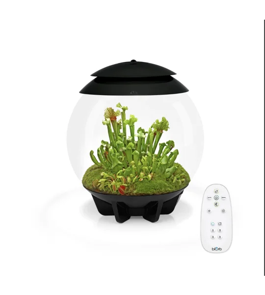 BiOrb Air 30L Black LED Terrarium