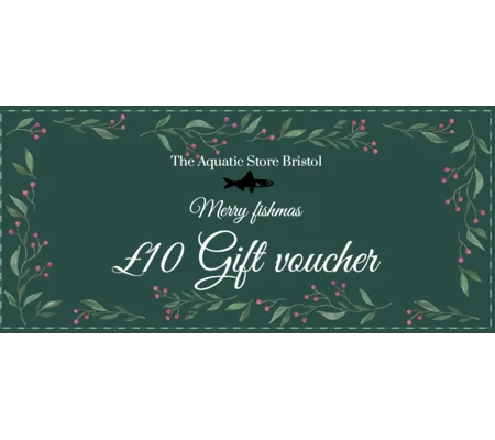 £10 Christmas instore gift voucher