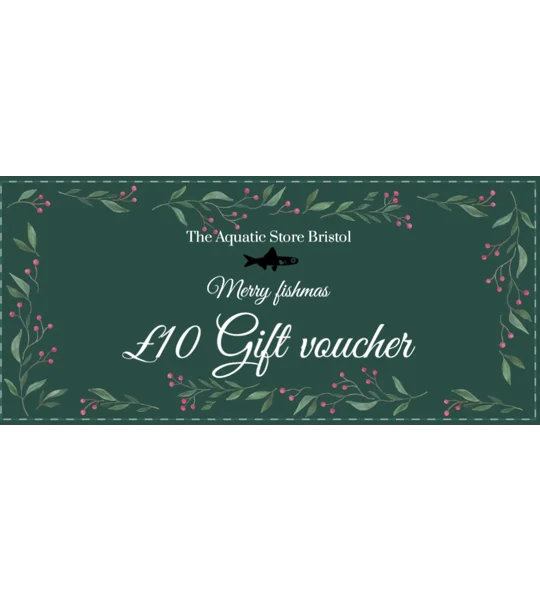£10 Christmas instore gift voucher