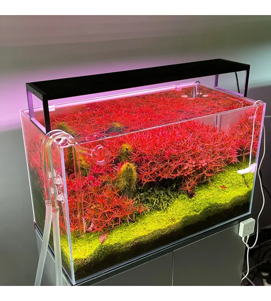 Chihiros WRGBII SLIM EDITION 60cm